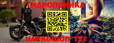 прущие грибы Апшеронск