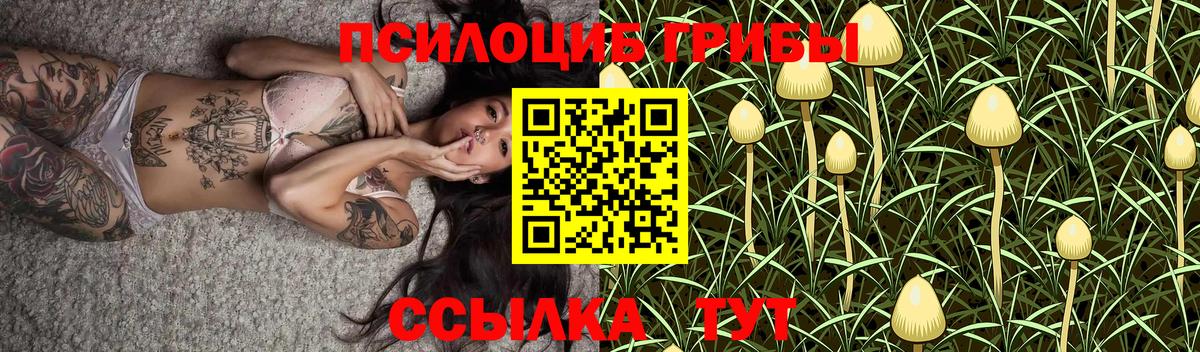 Псилоцибиновые грибы мицелий Белебей